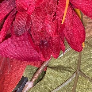 Meet your Posher, Marissa